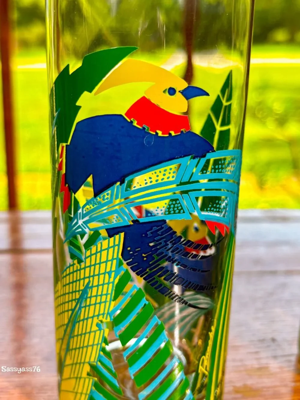 🆕VTG▪️ PANACHE▪️ Set of 6 Tropical Bird 12 oz Tall Tumbler Highball Glasses